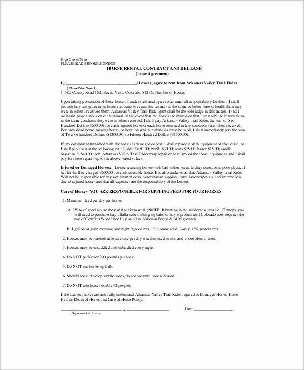 Horse Lease Agreement Template Elegant 11 Lease Contract Templates Word Google Docs format