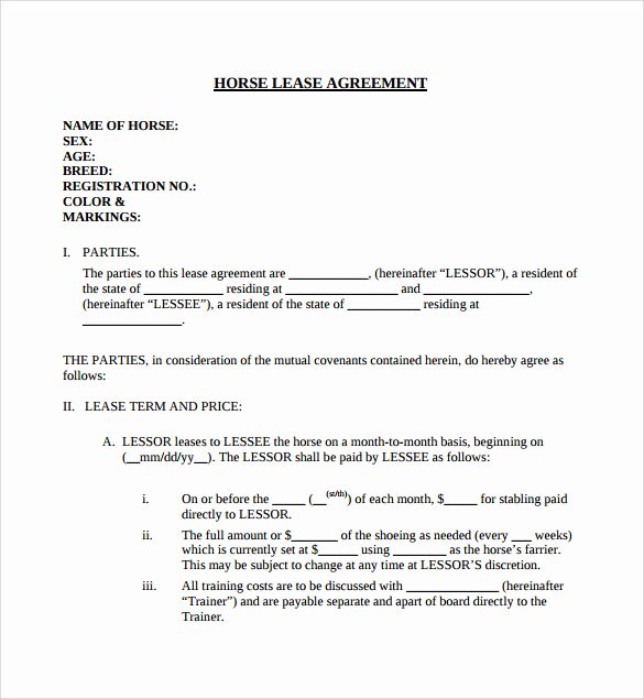 Horse Lease Agreement Template Unique Sample Horse Lease Agreement 7 Free Documents In Word