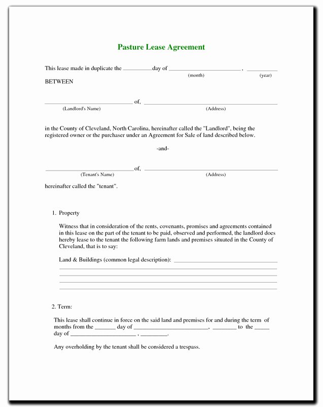 Horse Lease Agreement Template Unique Writing A Pasture Lease Contract – Pasture