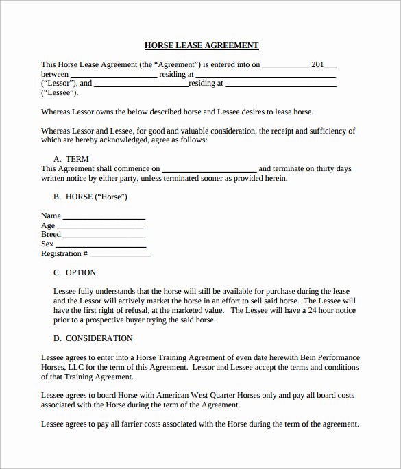 Horse Lease Agreement Templates Awesome Sample Horse Lease Agreement 7 Documents In Pdf