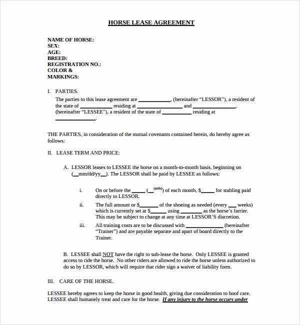 Horse Lease Agreement Templates Fresh Sample Horse Lease Agreement 9 Free Documents In Pdf Word
