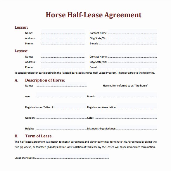 Horse Lease Agreement Templates Luxury Sample Horse Lease Agreement 7 Documents In Pdf