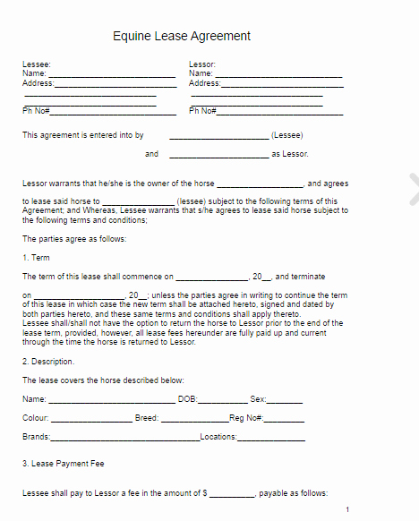 Horse Lease Agreement Templates New Horse Lease Agreement