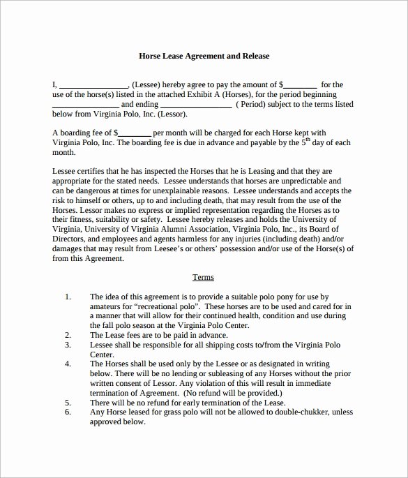 Horse Lease Agreements Template New Sample Horse Lease Agreement 7 Documents In Pdf