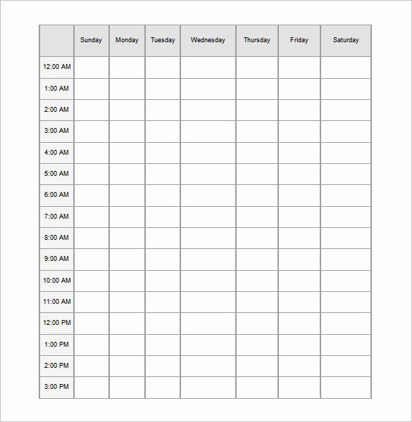 Hourly Schedule Template Word Beautiful 24 Hours Schedule Templates 16 Free Word Excel Pdf