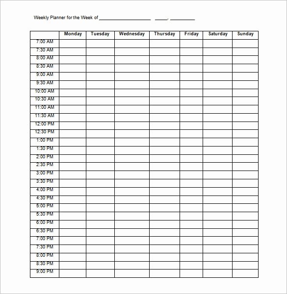 Hourly Schedule Template Word Beautiful Hourly Schedule Template Word – Printable Schedule Template