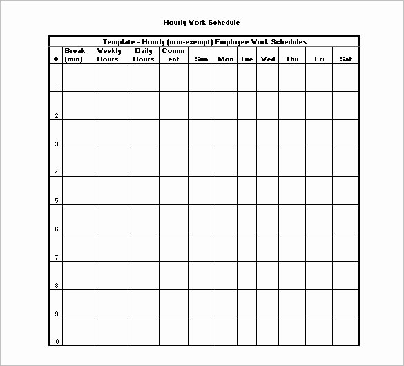 Hourly Schedule Template Word Lovely Hourly Schedule Template 34 Free Word Excel Pdf