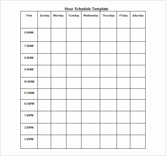 Hourly Schedule Template Word Luxury Hourly Schedule Template 11 Free Sample Example format