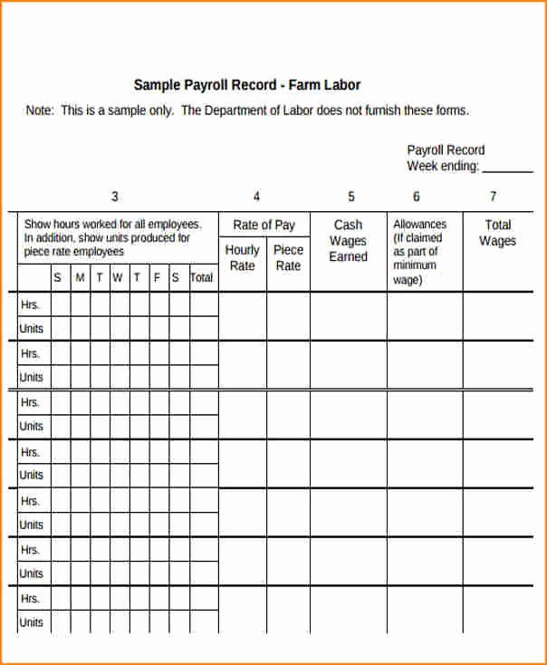 Individual Employee Training Plan Template Luxury 5 Individual Payroll Record Template