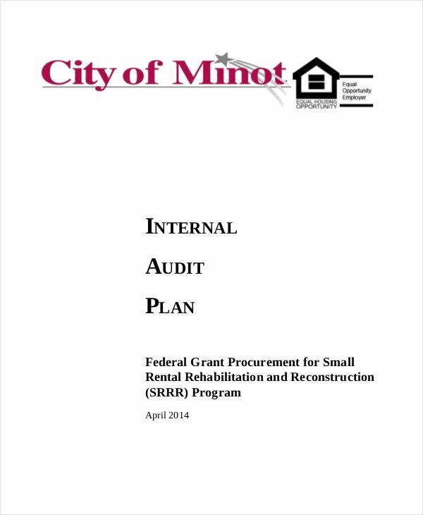 sample audit plan template
