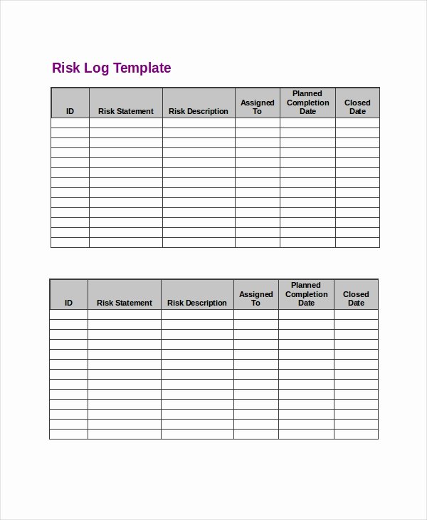 Issue Log Template Excel Beautiful Risk Log Templates