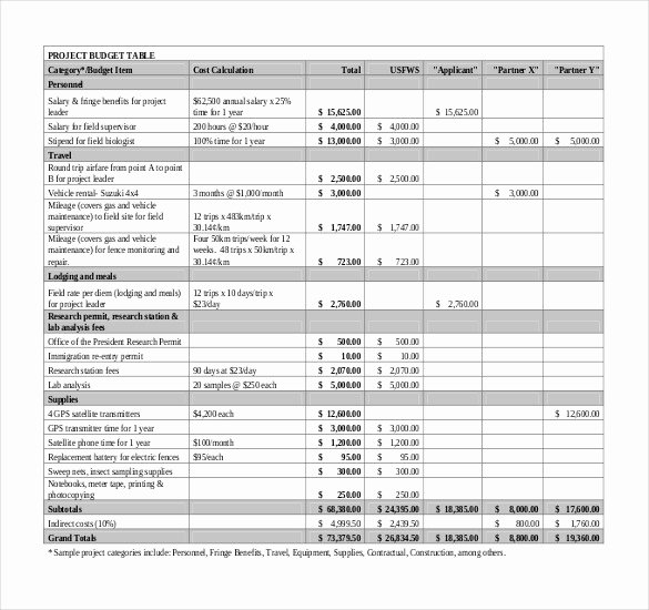 It Budget Template Excel Inspirational It Bud Template 8 Free Word Excel Pdf Documents
