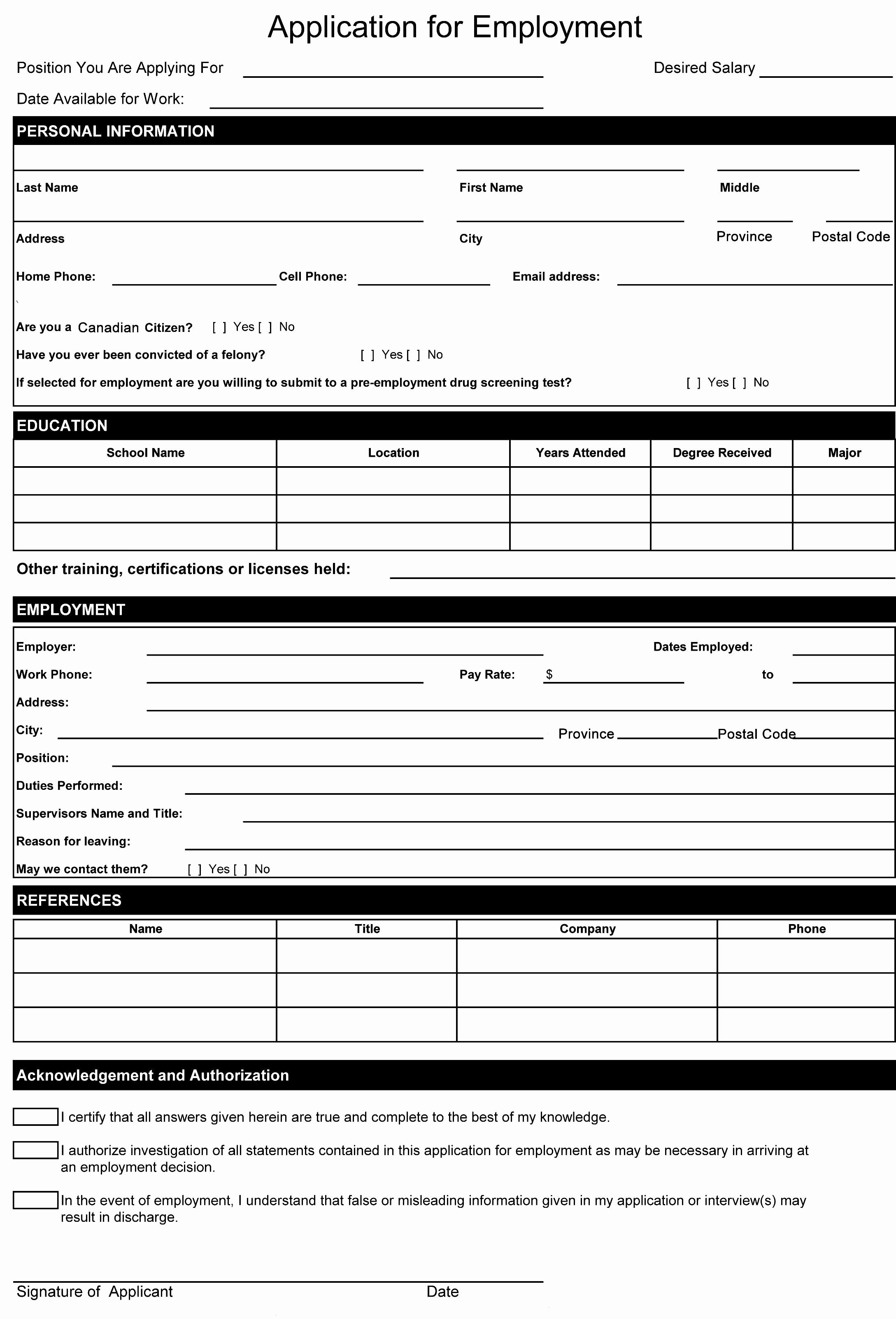 Job Application Template Microsoft Word Beautiful Resume format Word Document Resume format