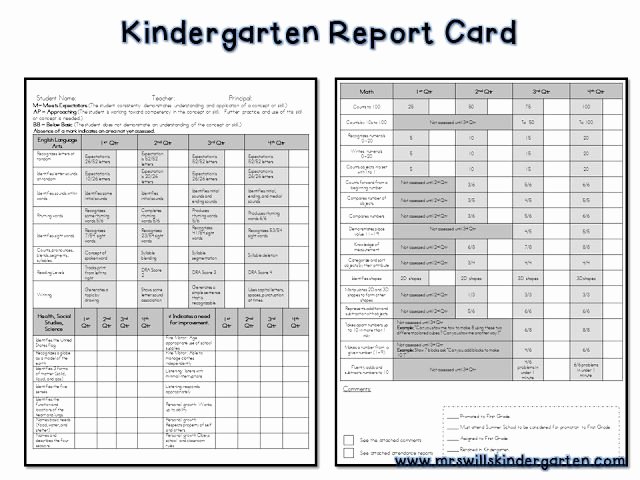 Kindergarten Progress Report Template New Free Report Card Template assessment