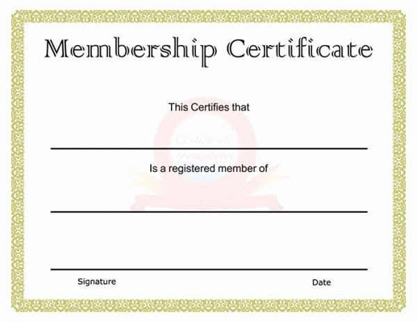 Llc Membership Certificates Templates Lovely 99 Free Printable Certificate Template Examples In Pdf