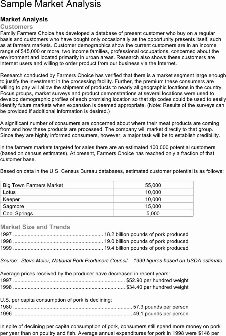 Market Analysis Report Template Best Of 3 Market Analysis Template Free Download