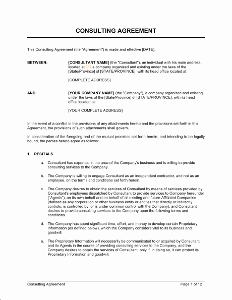 Marketing Consultant Contract Template Beautiful Sample Consultation Agreement