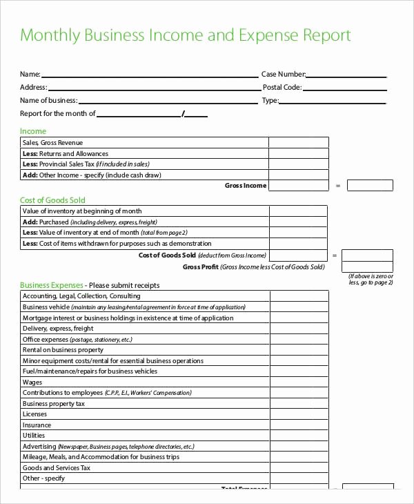 Monthly Expense Report Template New Monthly Business Report