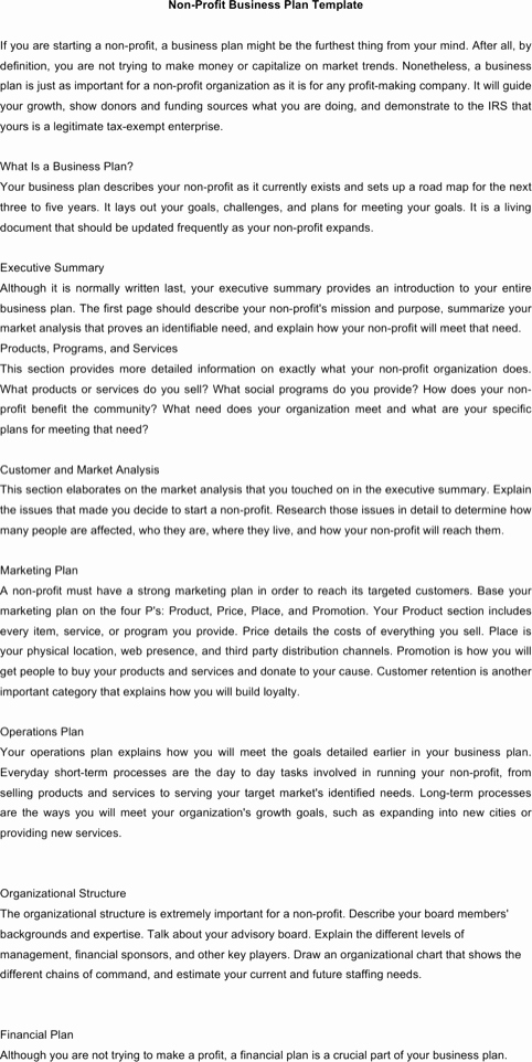 Non Profit Business Plan Template New Download Non Profit Business Plan Template for Free
