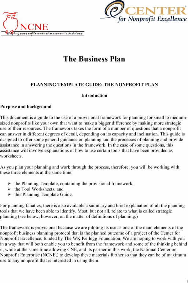 Nonprofit Business Plan Template Pdf Fresh Download Nonprofit Business Planning Template Guide