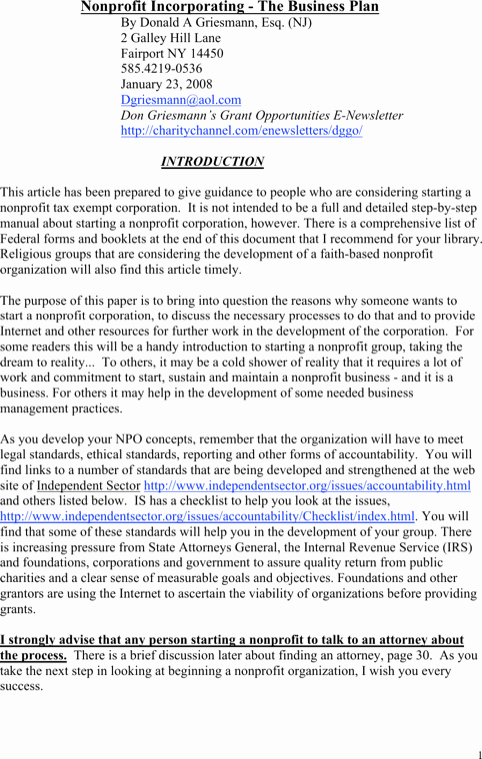 Nonprofit Business Plan Template Pdf Lovely Download Non Profit Business Plan Template for Free