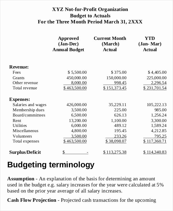 Nonprofit Operating Budget Template Best Of 8 Non Profit Bud Templates Word Pdf Excel Apple