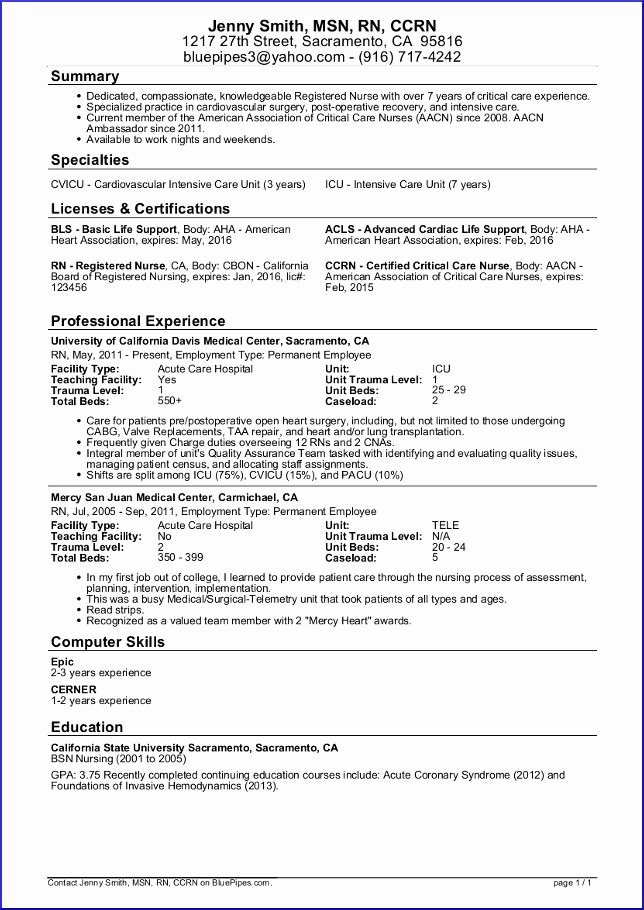 Nursing Student Resume Template Awesome Nursing Resume the Definitive Guide for 2019