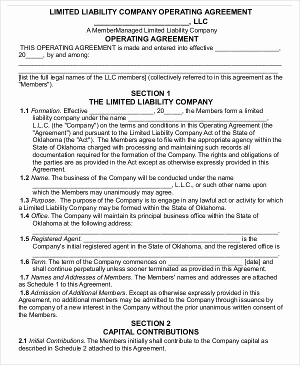 Operating Agreement Template Word Beautiful Operating Agreement Template 13 Free Word Pdf Google