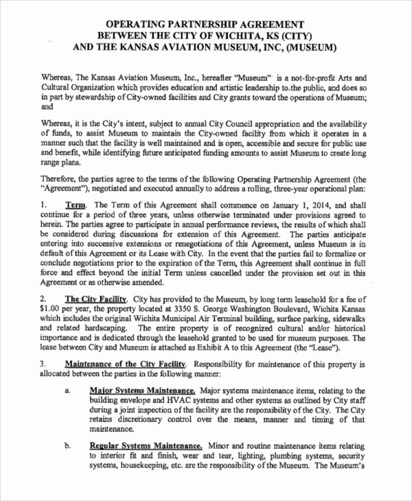 Operating Agreement Template Word Inspirational Operating Agreement Template 13 Free Word Pdf Google