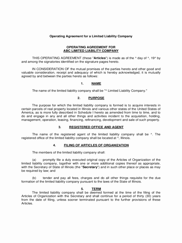 40-operating-agreement-template-word-markmeckler-template-design