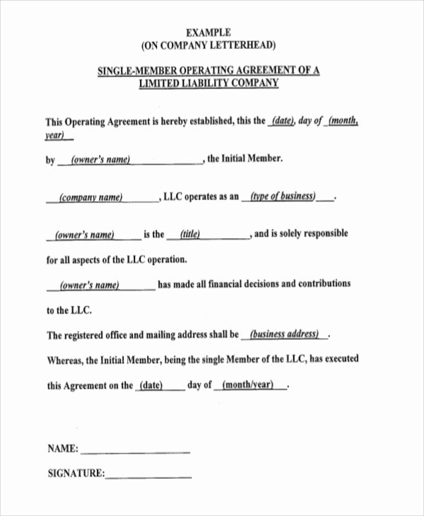 Operating Agreement Template Word New Operating Agreement Template 13 Free Word Pdf Google