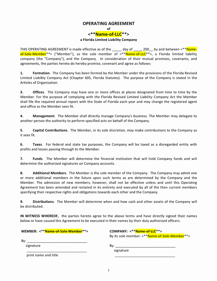 Operating Agreement Template Word Unique Llc Operating Agreement Template Florida In Word and Pdf