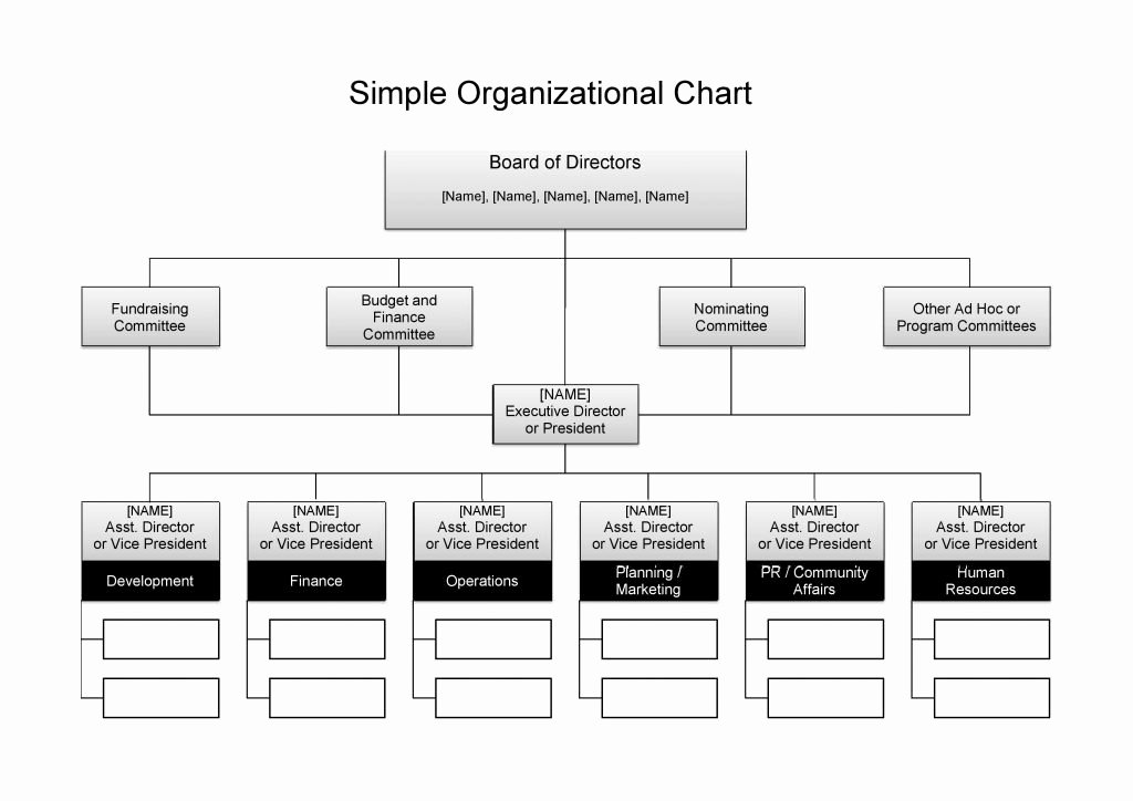Organization Chart Template Excel Inspirational 25 Best Free organizational Chart Template In Word Pdf Excel