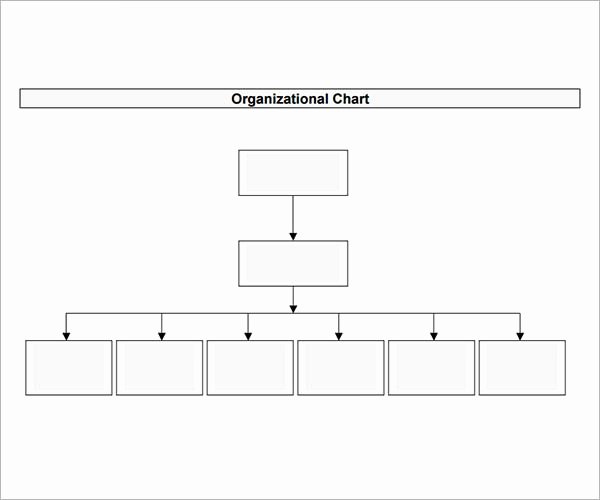 Organizational Chart Template Free Beautiful 10 organizational Chart Template Download Free
