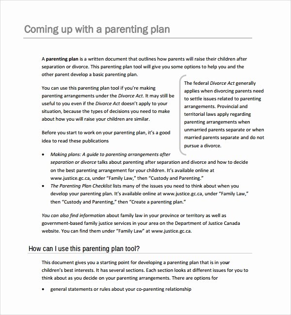 Parenting Agreement Template Free Lovely Sample Parenting Plan Template 8 Free Documents In Pdf