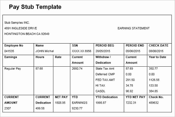Pay Stub Template Word Document Beautiful Free Paystub Template