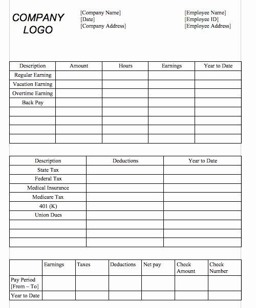 Pay Stub Template Word Document Inspirational Microsoft Word Pay Stub