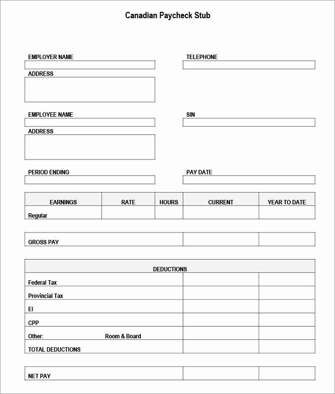 Pay Stub Template Word Document Lovely 3 Check Stub Templates Pdf Doc