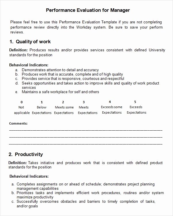 Performance Evaluation Template Word New Free 9 Sample Performance Evaluation Templates In Pdf