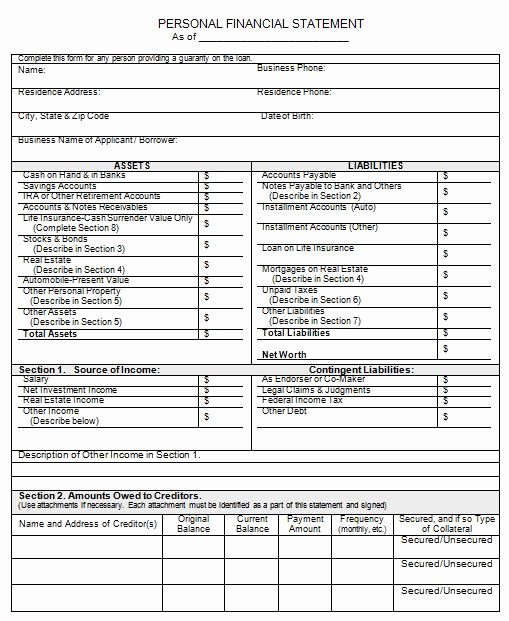 Personal Financial Statement Template Free Awesome 40 Personal Financial Statement Templates &amp; forms