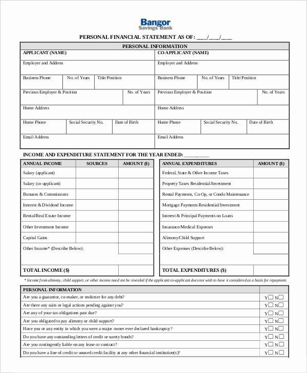 Personal Financial Statement Template Free Awesome Personal Financial Statement 9 Free Excel Pdf