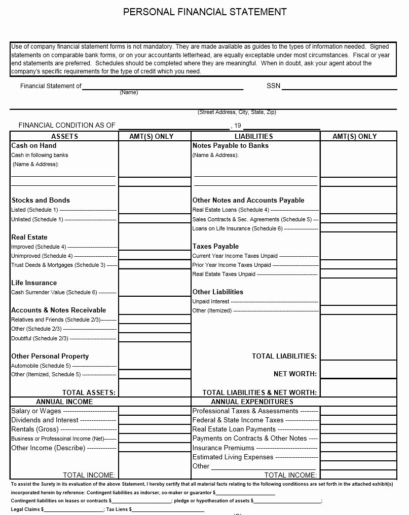 Personal Financial Statement Template Free Beautiful 40 Personal Financial Statement Templates &amp; forms