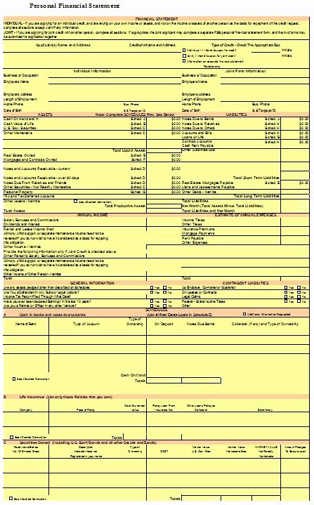 Personal Financial Statement Template Free Elegant 40 Personal Financial Statement Templates &amp; forms