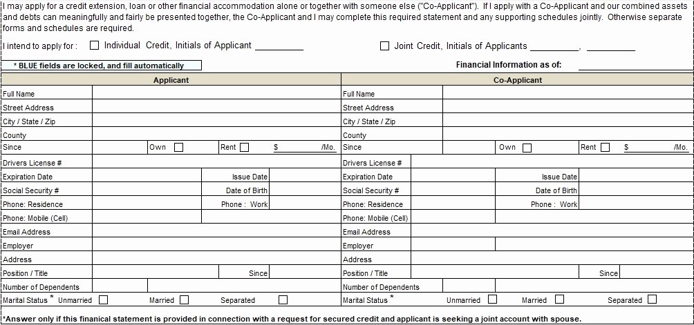 Personal Financial Statement Template Free New Professional Personal Financial Statement Template Free