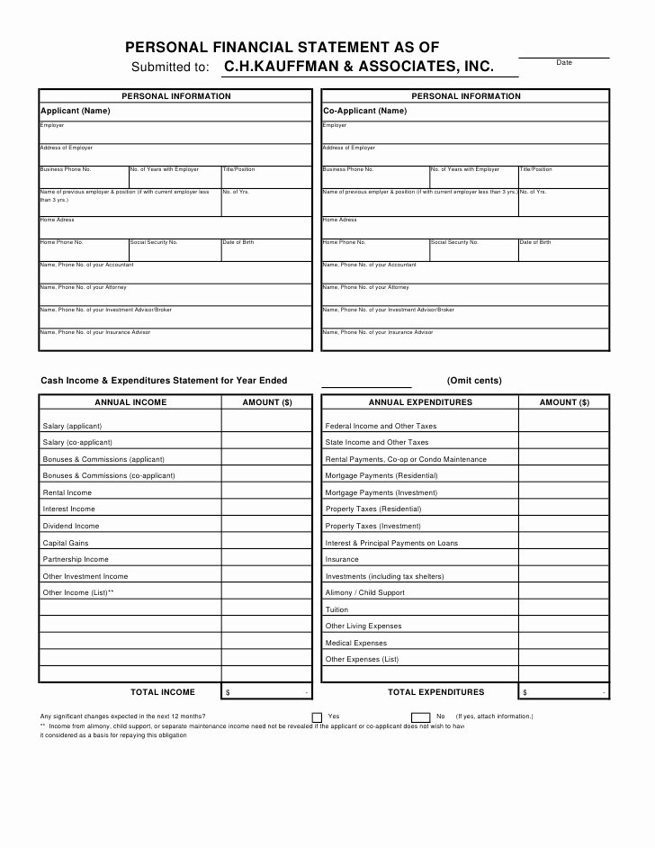 Personal Financial Statement Template Free Unique Financial Statement Template