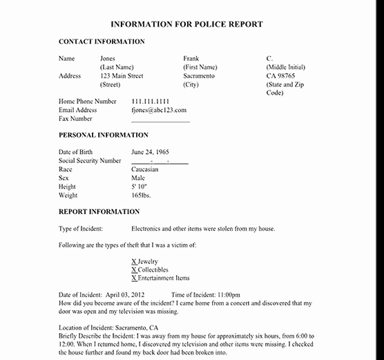 Police Report Template Pdf Fresh 5 Police Report Templates Excel Pdf formats
