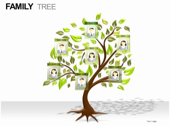 Powerpoint Family Tree Template Best Of Family Tree Powerpoint Presentation Slides