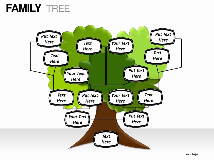Powerpoint Family Tree Template Fresh Family Tree Powerpoint Presentation Templates
