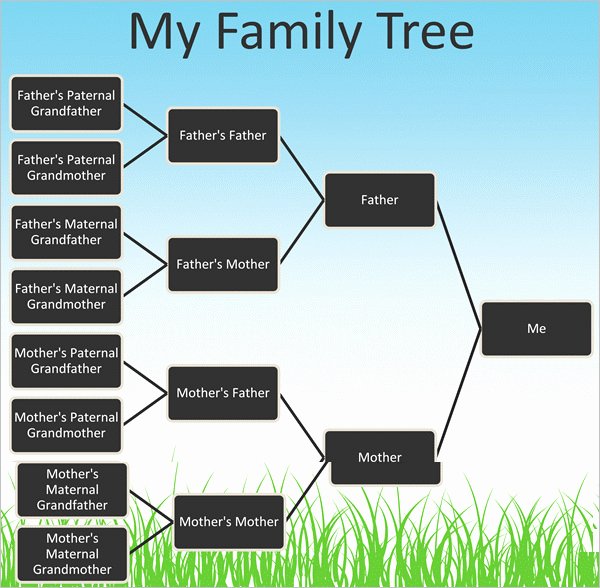 Powerpoint Family Tree Template Luxury 7 Powerpoint Family Tree Templates