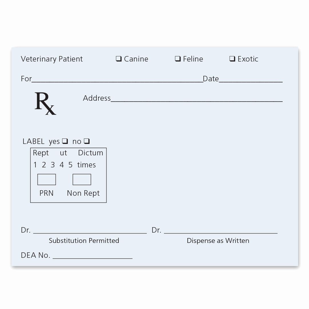 Prescription Template Microsoft Word Luxury Prescription Label Template Microsoft Word Pill Bottle